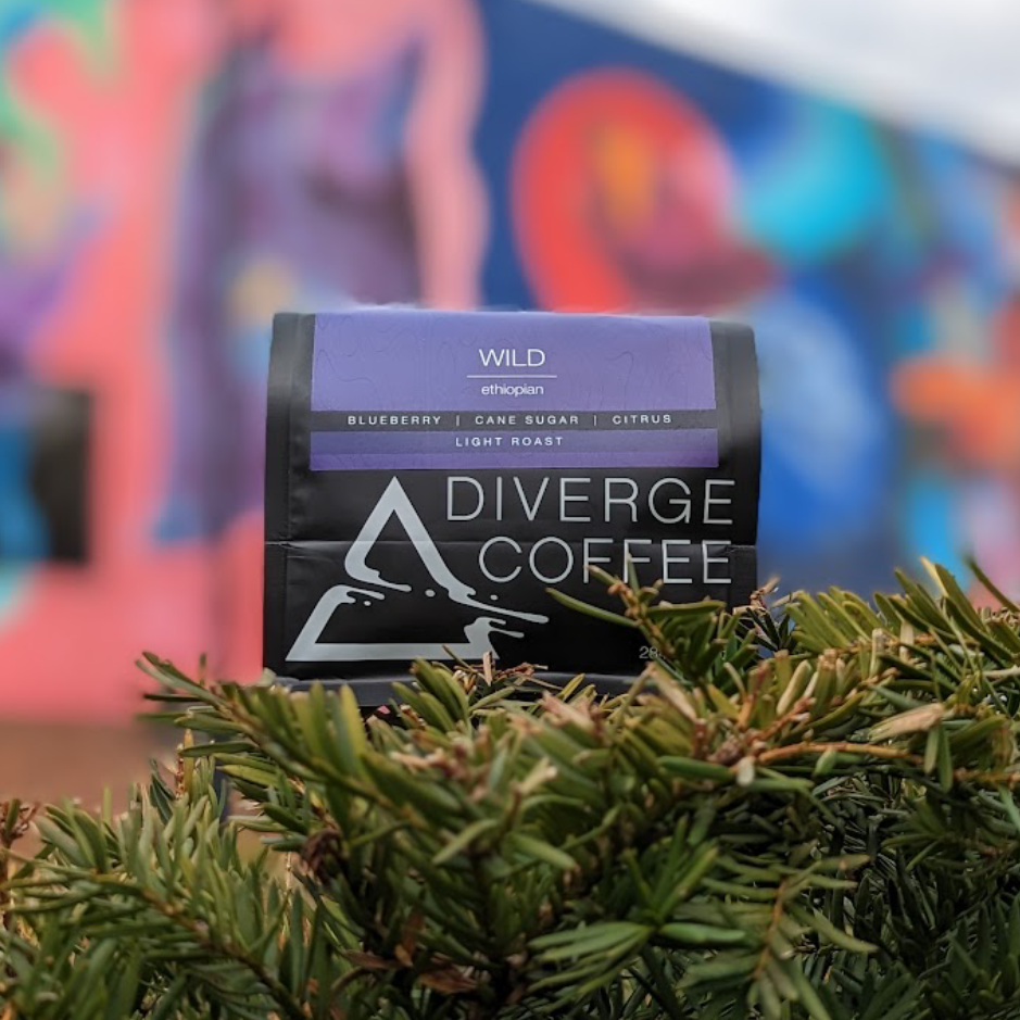 Wild - Ethiopia - Light